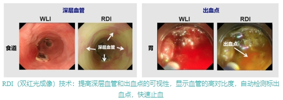 微信截图_20250417095339.png