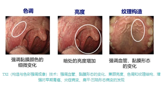 微信截图_20250417094714.png