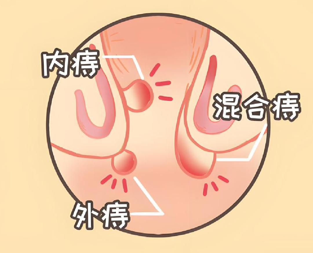微信图片_20250522083645.png